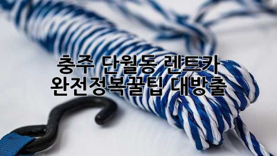 충주 단월동 렌트카 완전정복😎꿀팁 대방출!