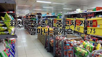 화천군 장촌리 중고차 거래, 얼마나 들까요?