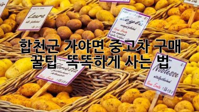합천군 가야면 중고차 구매 꿀팁 🚗 똑똑하게 사는 법!